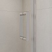 Душевая дверь RGW Leipzig LE-08 100x195 распашная 351200864-11