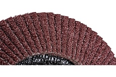 Круг зачистной лепестковый Sturm 9010-01-125x22-25