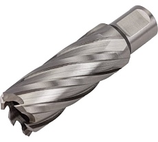 Сверло кольцевое (25х55 мм; HSS; Weldon 19) Euroboor HCL.250