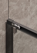 Душевая дверь Timo TD-120/03C-6 120x195 прозрачное, черный