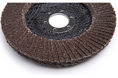 Круг зачистной лепестковый NORMAL (180х22 мм; P40) Tiger Abrasive 00-00000142