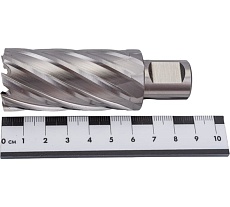 Фреза кольцевая HSS (29x55 мм; Weldon 19) Rotorica RT.4215029