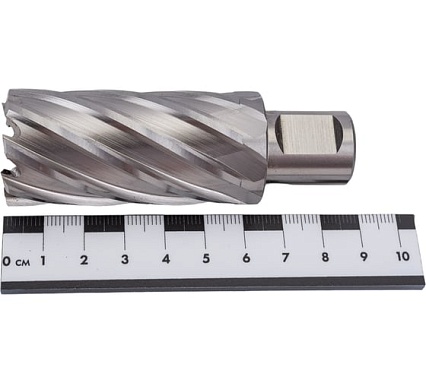 Фреза кольцевая HSS (29x55 мм; Weldon 19) Rotorica RT.4215029
