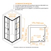 Душевой уголок RGW Passage PA-34B 80x80 с рисунком, черный 06083488-84