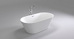 Акриловая ванна Black&White Swan SB103 170x80