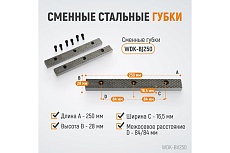 Профессиональные слесарные тиски Wiederkraft поворотные, с наковальней, 250 мм WDK-BV250