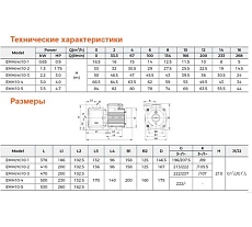 Многоступенчатый насос EMH 10-4, 3 кВт, 380В, Qmax. 16 m3h, Hmax. 66,5 m LEO 1520