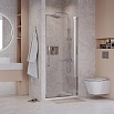 Душевая дверь Niagara Nova 100x195 прозрачное, хром NG-66-10A