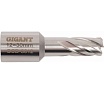 Сверло корончатое, HSS, L=30 мм, d=12 мм Gigant GCD-3012