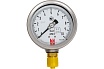 Манометр ДМ 2 100 Р (0-10) бар, кл.1.0, G1/2" BD 1152100009