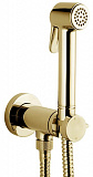 Гигиенический душ Bossini Paloma Brass E37005B.021 золото