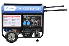 Бензиновый сварочный генератор ТСС GGW 5.5/250E-R 018686