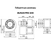 Вентилятор радиальный ERA BURAN PRO 200 220V Пр0 2 полюс PRO BURAN PRO 200 2K M R