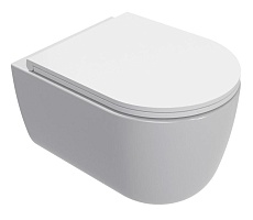 Подвесной унитаз AQUAme AQM2013PRO безободковый, cмыв Invinsible, с сиденьем микролифт