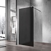 Душевая перегородка Vincea Волк-Ин (Walk-In) VSW-1H100GFGM 100x200 вороненая сталь, матовое тонированное