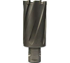 Сверло кольцевое (31х55 мм; TCT; Weldon 19/One-touch) Euroboor HMLU.310