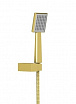 Душевой набор Timo Selene SX-2069/17SM золото матовое