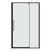 Душевая дверь Niagara Nova 120x195 прозрачное, графит NG-35-12AGR