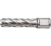 Сверло кольцевое (16х55 мм; HSS; Weldon 19) Euroboor HCL.160