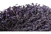 Круг зачистной на оправке пурпурный ROXPRO Clean&Strip II (125х13х22 мм) RoxelPro 123544