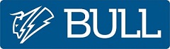 Bull