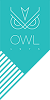 Owl 1975